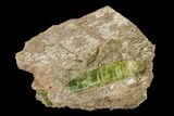 Yellow-Green Fluorapatite Crystals in Calcite - Ontario, Canada #137112-1